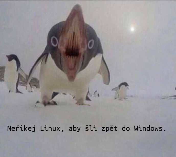 Neříkej Linuxákovi aby šel zpět do Windows.